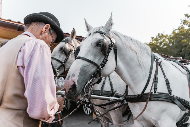 Vienna Horse-drawn Carriage Guided Tour - Hofburg Place: Why This Segment Is a Real Payoff