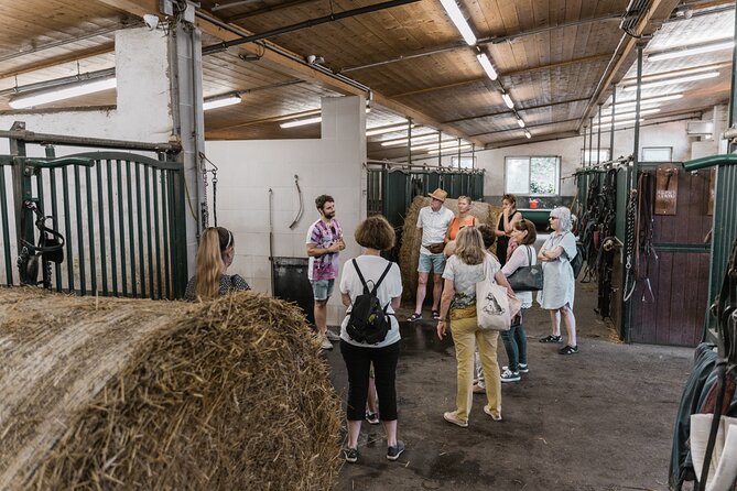 Vienna Horse-drawn Carriage Guided Tour - Timing, Duration, and What 90 Minutes Really Means