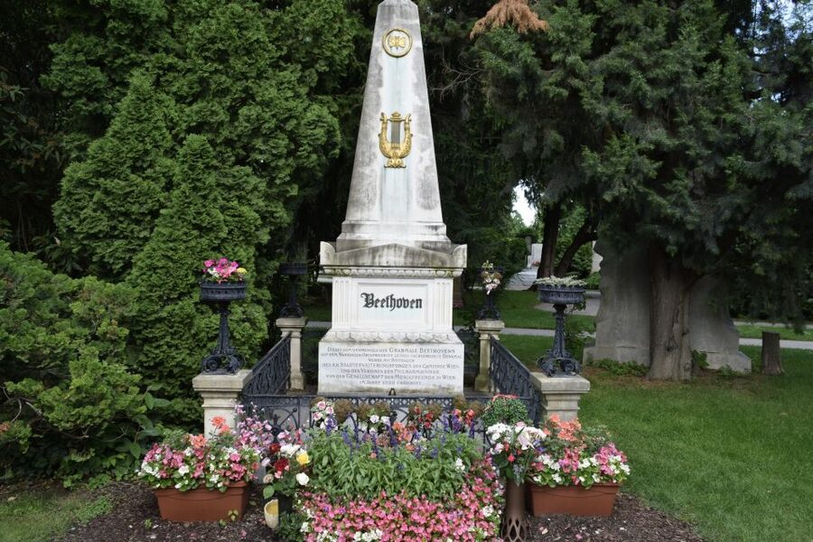Vienna: Meet Beethoven Life Private Guided Walking Tour - The Historic Center and Ringstrasse sweep through Beethoven’s Vienna