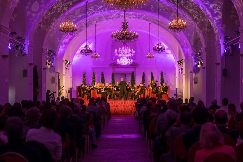 Vienna: Mozart and Strauss Concert at Schönbrunn - Who should book this Mozart and Strauss concert?