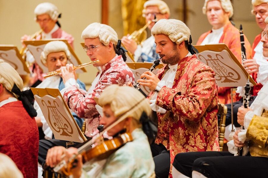 Vienna: Mozart Concert at the Musikverein - Golden Hall - Who This Concert Is Best For