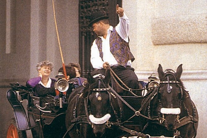 Vienna Mozart VIP Package: Concert, Dinner and Carriage Ride - Wiener Mozart Konzert Im Musikverein: The Real Reason You’re Here