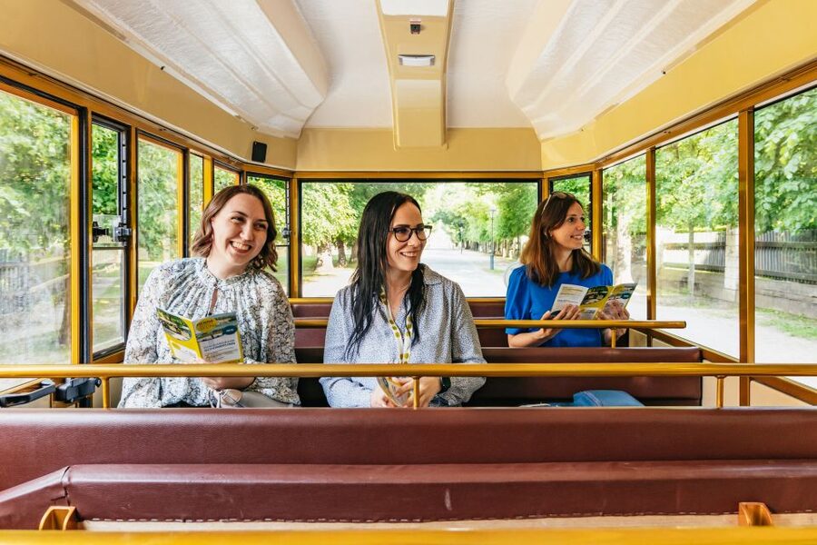 Vienna: Panorama Train Tickets to explore Schönbrunn Palace - Who should book this Panoramabahn day ticket?