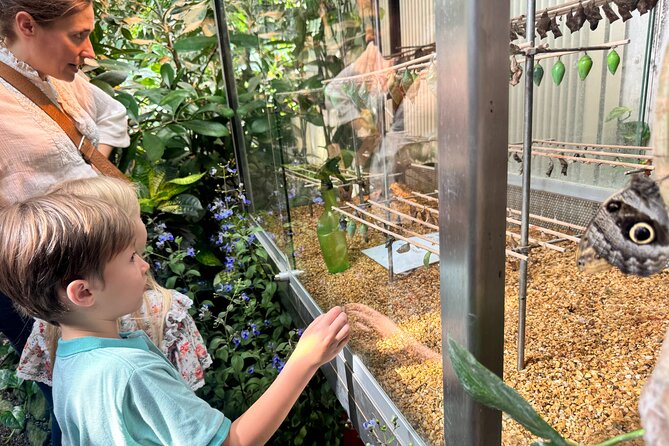 Vienna Private Family Tour: City Highlights, Museum and Cake - Ringstraße Ride, Hundertwasser House Colors, Then Prater Fun