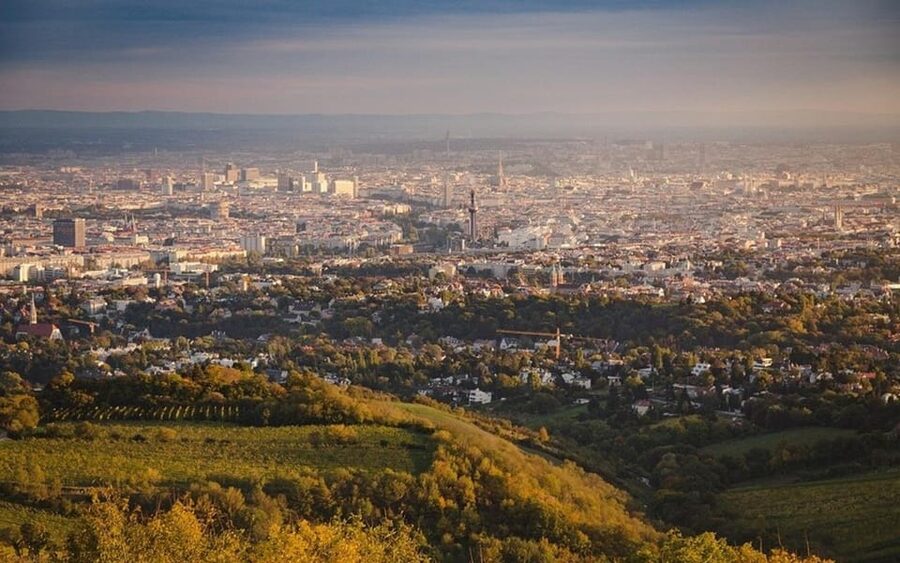 Vienna: Private Half-Day Sightseeing Tour - Who this tour is perfect for, and who should skip it