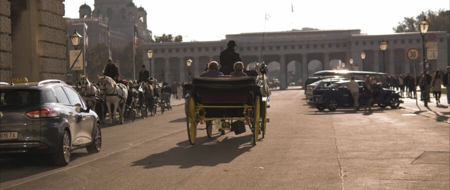 Vienna: Private Walking Tour to The Hofburg & Graben Street - Meeting at Albertina Square: the best way to start smart