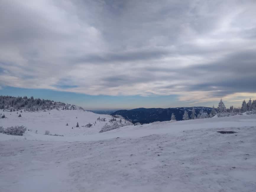 Vienna: Relaxed Alpine Snowshoe Experience Guide & Transfer - Key Highlights Worth Waking Up For