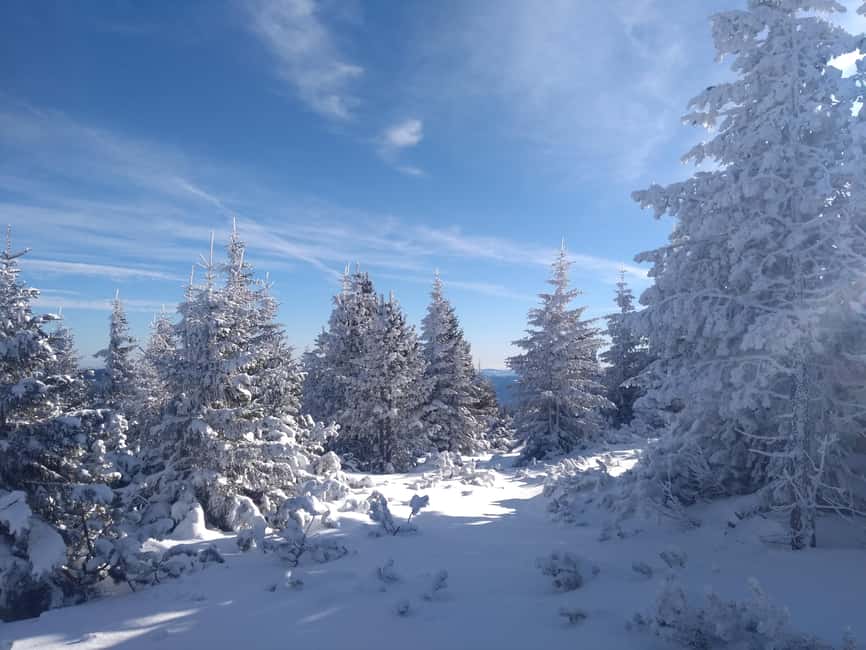 Vienna: Relaxed Alpine Snowshoe Experience Guide & Transfer - Why the Rax Mountains Feel Like More Than a Winter Hike