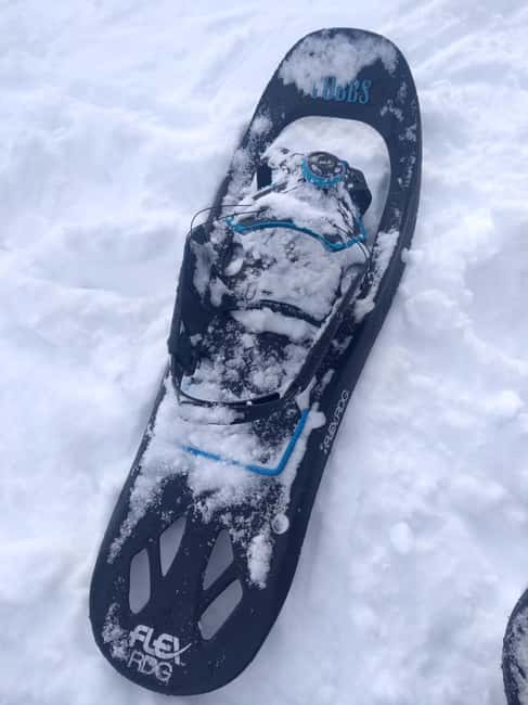 Vienna: Relaxed Alpine Snowshoe Experience Guide & Transfer - Small Group Size, Paul and Peter, and Why the Guide Style Matters