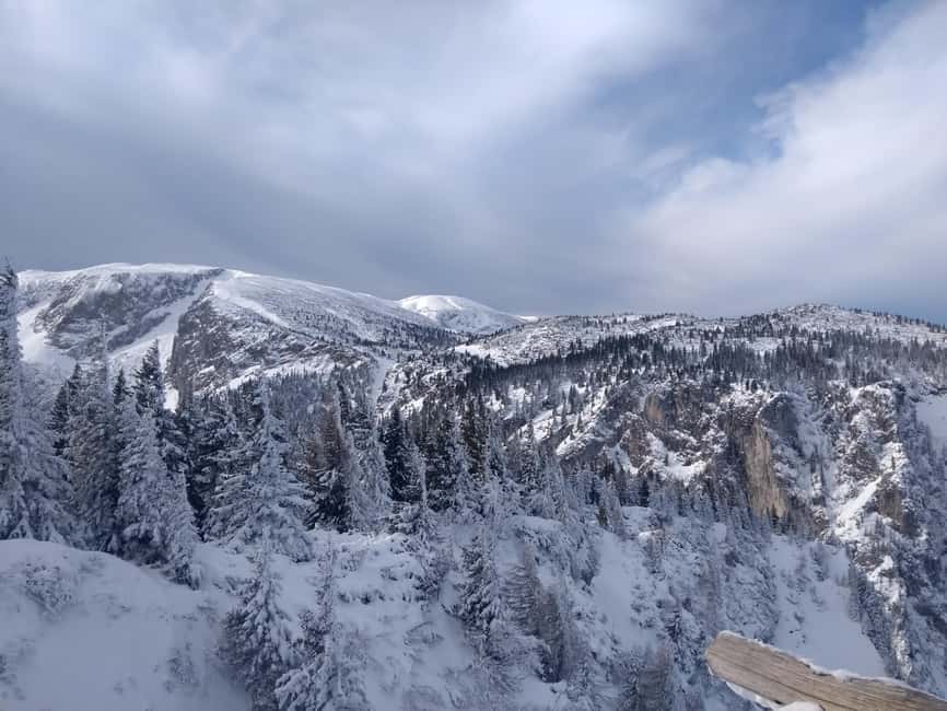 Vienna: Relaxed Alpine Snowshoe Experience Guide & Transfer - Getting There Smoothly From Vienna: Van and Cable Car