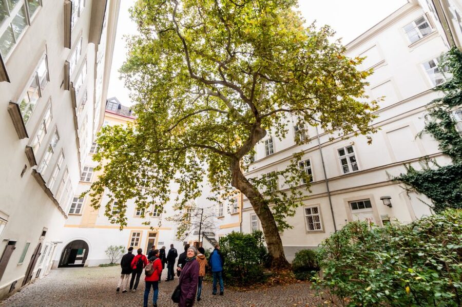 Vienna: Romantic Old Town 2-Hour Discovery Tour - The old university quarter and the Jesuit Church power moment