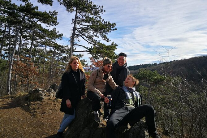 Vienna's Hills Private tour: Nature & Hidden Architectural Jewels - Jubilaumswarte hike and 189 steps: season planning is key