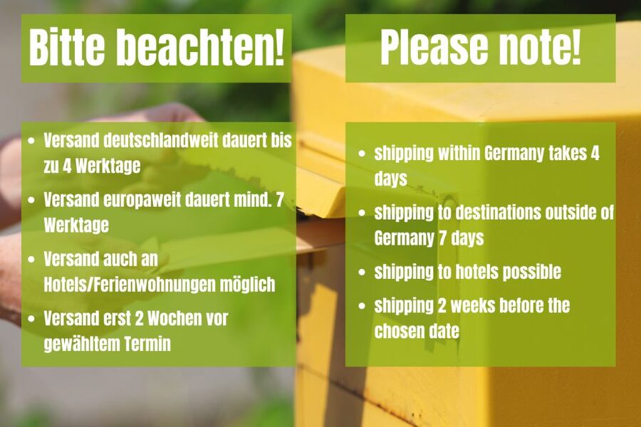 Vienna: Scavenger Hunt Self-Guided Tour - How The Vienna Scavenger Hunt Works (No Guide, Just Envelopes)