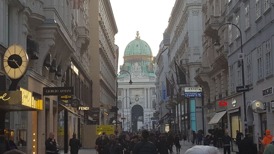 Vienna: Schönbrunn Palace and City Center Guided Tour - Group Size, Pace, and the Guide Factor