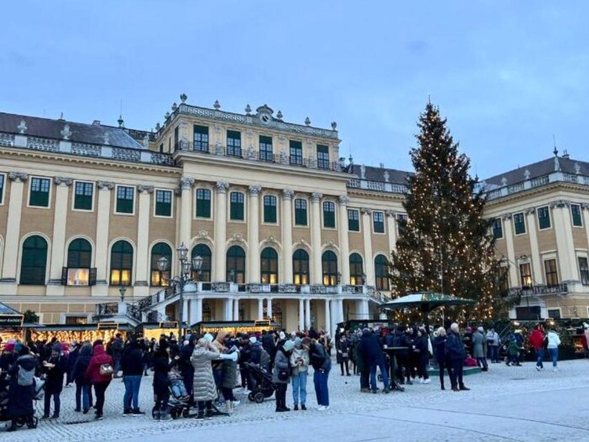 Vienna: Schönbrunn Palace & Christmas Market Walking Tour - Should You Book This Schönbrunn and Christmas Market Tour?