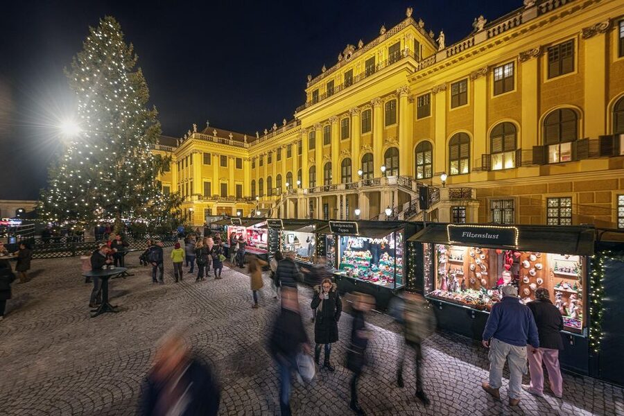 Vienna: Schönbrunn Palace & Christmas Market Walking Tour - Gardens in Winter: Why the Included Walk Feels Like a Bonus