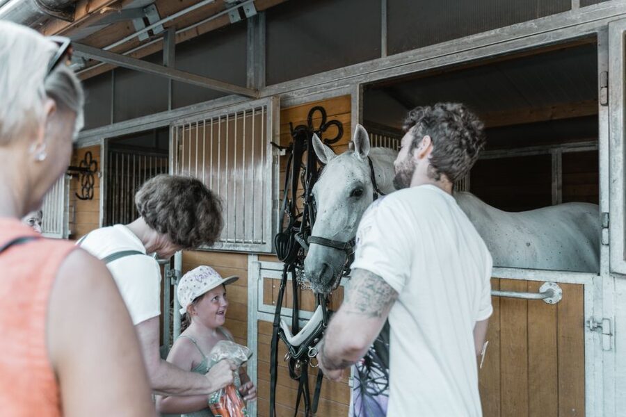 Vienna: Secrets of the Fiaker & Horse-Drawn Carriage Ride - Who this tour suits best, and who should consider alternatives