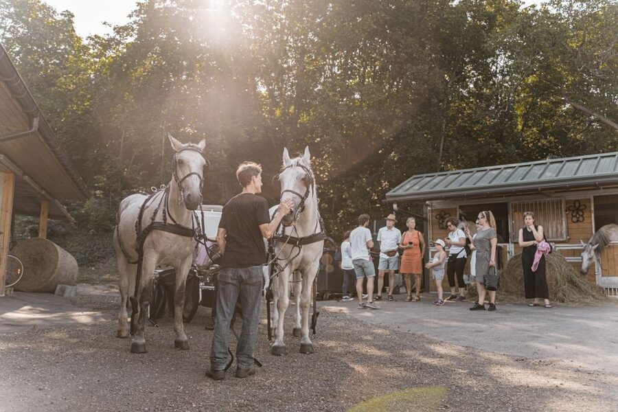 Vienna: Secrets of the Fiaker & Horse-Drawn Carriage Ride - Optional Falco breakfast, if you want to turn it into a morning