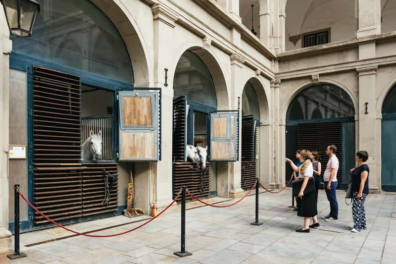 Vienna: Spanish Riding School Guided Architectural Tour - Key highlights to know before you go