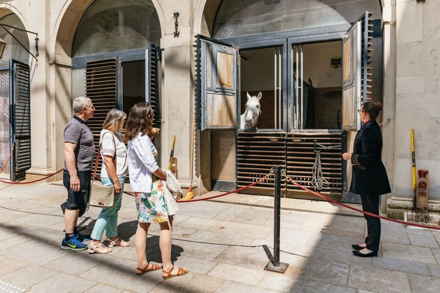 Vienna Spanish Riding School Guided Tour - Group dynamics: the only real drawback for some people
