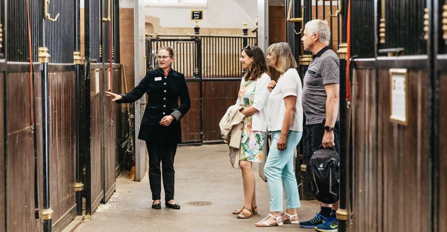 Vienna Spanish Riding School Guided Tour - Winter Riding School: Baroque space and classical training atmosphere