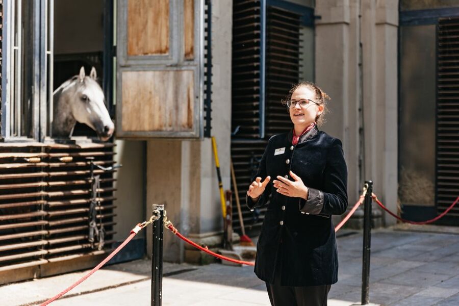 Vienna Spanish Riding School Guided Tour - Summer Riding School and the oval horse walker