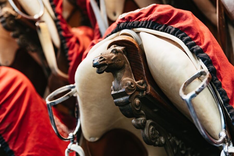 Vienna Spanish Riding School Guided Tour - Rules that shape the experience (and what you should expect)