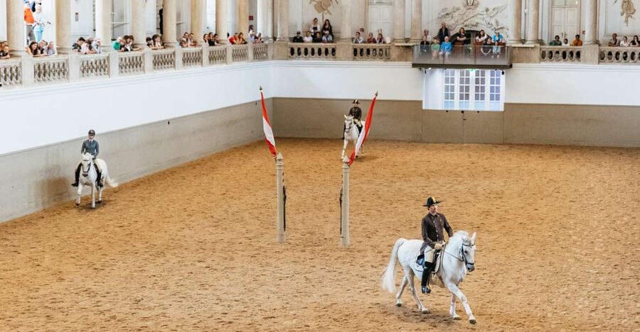 Vienna: Spanish Riding School Training - What This 1-Hour Session Really Is (and Isn’t)