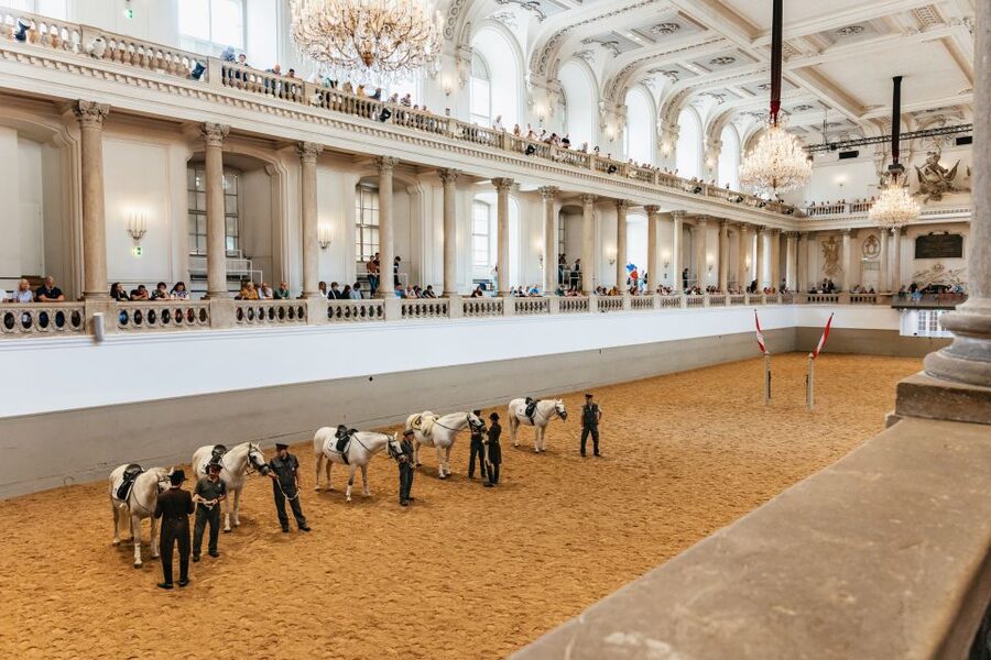 Vienna: Spanish Riding School Training - What You’ll See in the Arena: Relaxation to Refine Movement