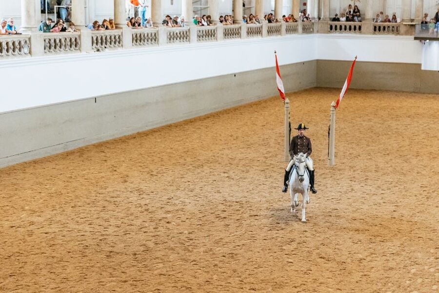 Vienna: Spanish Riding School Training - Sound, Rules, and Comfort: Make the Experience Work for You