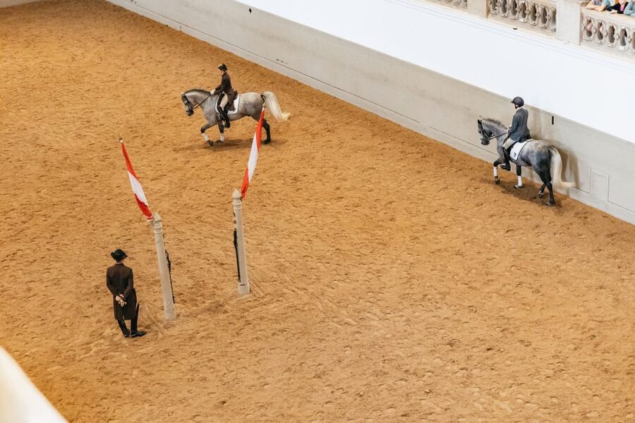 Vienna: Spanish Riding School Training - Tickets, Entry, and Timing: Simple Steps That Prevent Headaches