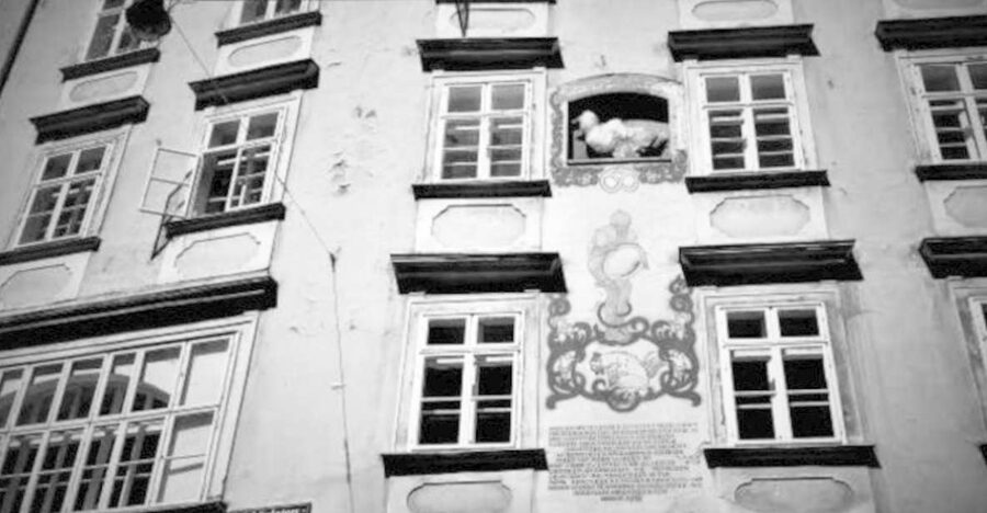Vienna: Spooky Ghost Tour in English - From Helmut Zilk Platz to Vienna’s darker side in 90 minutes