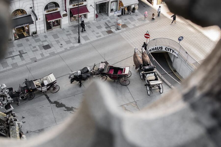Vienna: St. Stephan's Cathedral Guided Tour - The hidden tunnel to the attic (and why it matters)