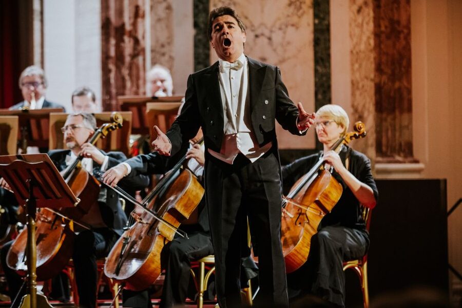 Vienna: Strauss and Mozart Concert at Hofburg Palace - Price and value: $106 for a palace-style concert night