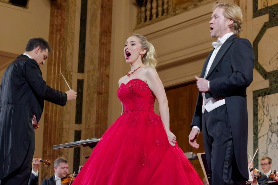 Vienna: Strauss and Mozart Concert at Hofburg Palace - Who should book this and who might skip it
