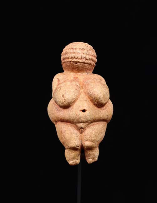 Vienna: Ticket to the Museum of Natural History - The Venus of Willendorf and the Venus Cabinet: why this room matters