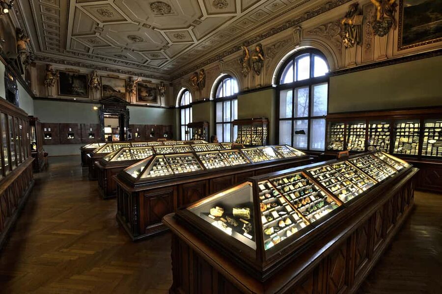 Vienna: Ticket to the Museum of Natural History - Hallstatt treasures and the Gold Cabinet: prehistoric life as an archaeological story