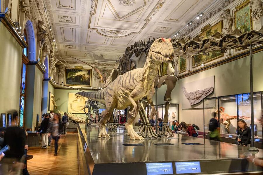Vienna: Ticket to the Museum of Natural History - The lower floor: gemstones, fossils, meteorites, and the planet’s deep past