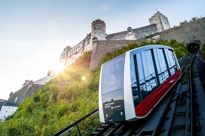 Vienna To Hallstatt Day Tour With Hotel Pick-Up And Drop Off - Vehicle comfort: minivan charm, bus tradeoffs, and one real hiccup