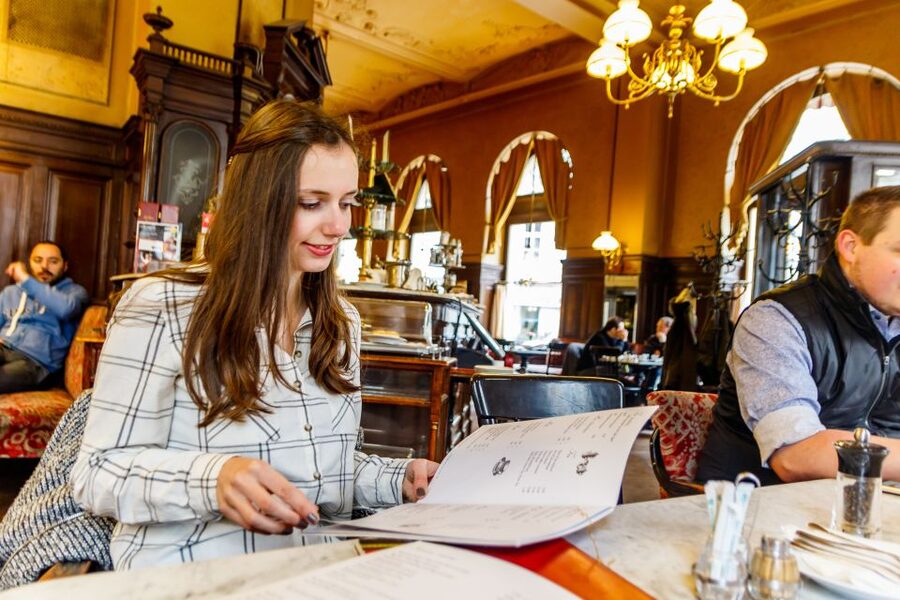 Vienna: Typical Austrian Food Tour with Coffee House Visit - The walk between stops, and why it matters for appetite