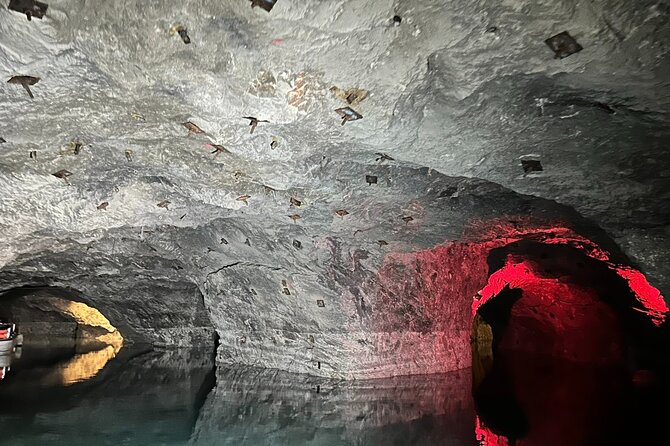 Vienna : Vienna Forest Tour with Underground Lake and Wine Tasting - Packing list and on-the-ground tips that save you discomfort
