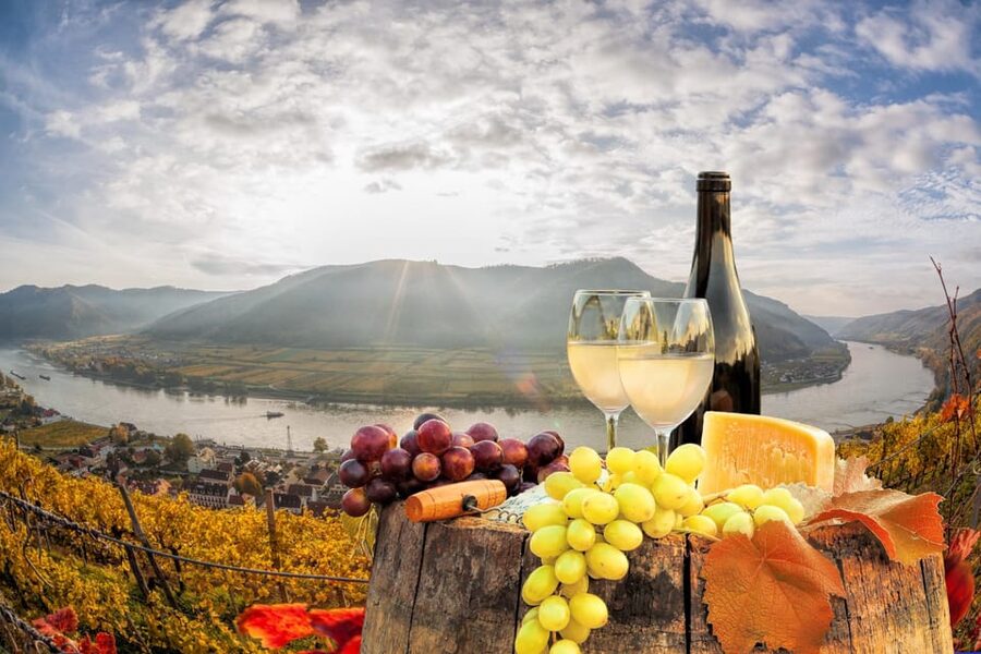 Vienna: Vienna Woods Tour with Underground Lake and Wine - Who this tour suits best