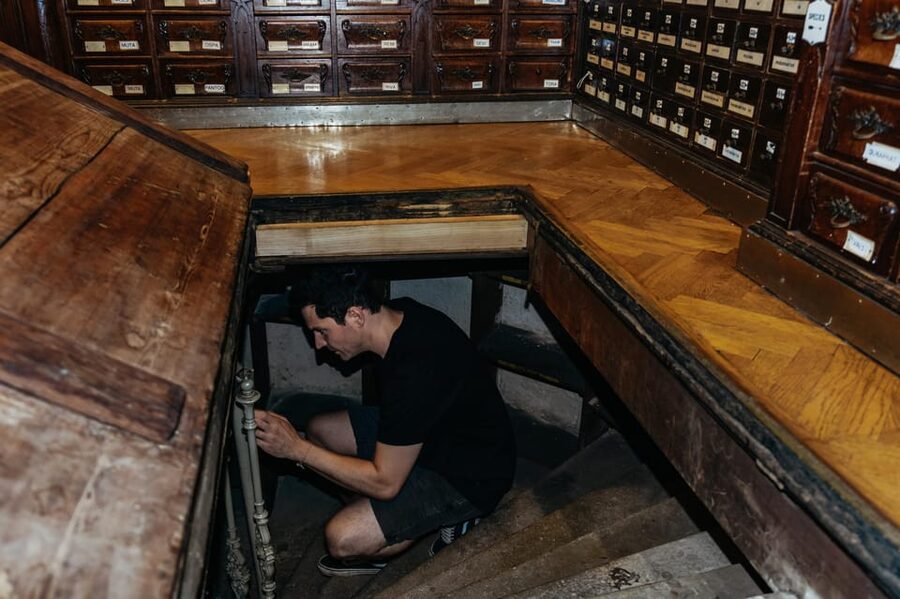 Vienna: Viennese Underworld Guided Walking Tour - Key Highlights You’ll Notice Right Away