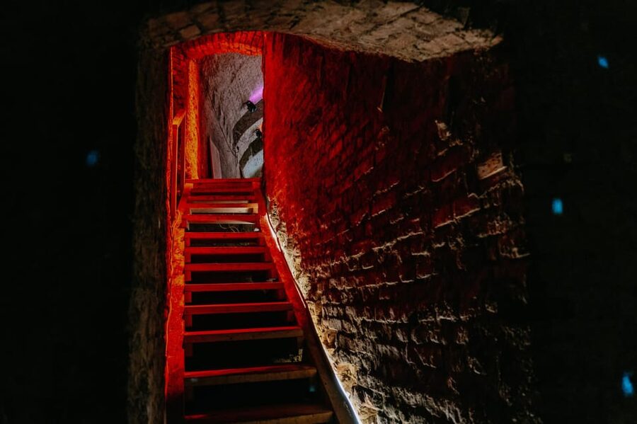 Vienna: Viennese Underworld Guided Walking Tour - Private Basements and Secret Corridors, What You Might See