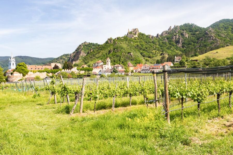 Vienna: Wachau Valley, Melk Abbey Tour with Danube Boat Trip - Who This Tour Fits Best, and Who Should Rethink It