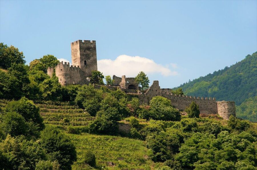 Vienna: Wachau Valley Private Kayak and Wine Tour - Price, value, and how this compares to a cheaper day