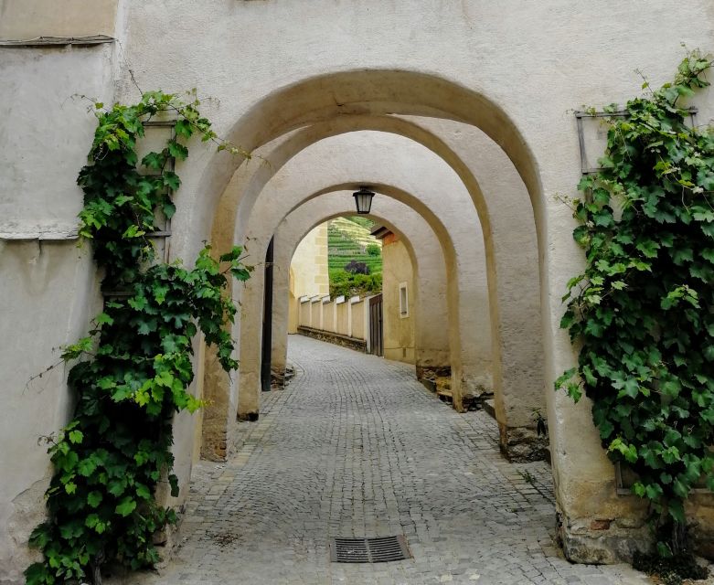 Vienna: Wachau Valley Private Kayak and Wine Tour - What you need to bring, and the skill requirement that matters