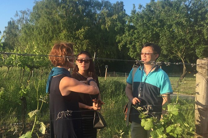 Vienna Wine Experience - Buschenschank tastings: up to 4 wines in the vineyard setting