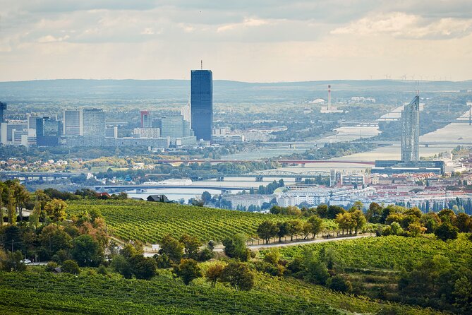 Vienna Wine Experience - Weather backup: indoor Heurigen if the day turns gray