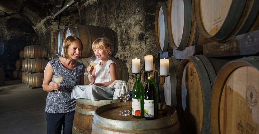 Vienna: Wine Tasting E-Bike Tour - Key highlights you should care about
